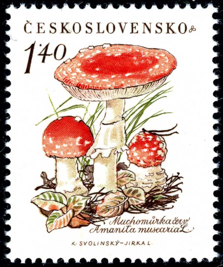 shroom stamp